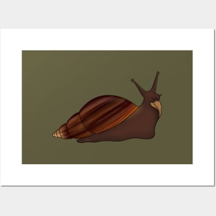 Giant African Land Snail, Achatina fulica, normal Posters and Art